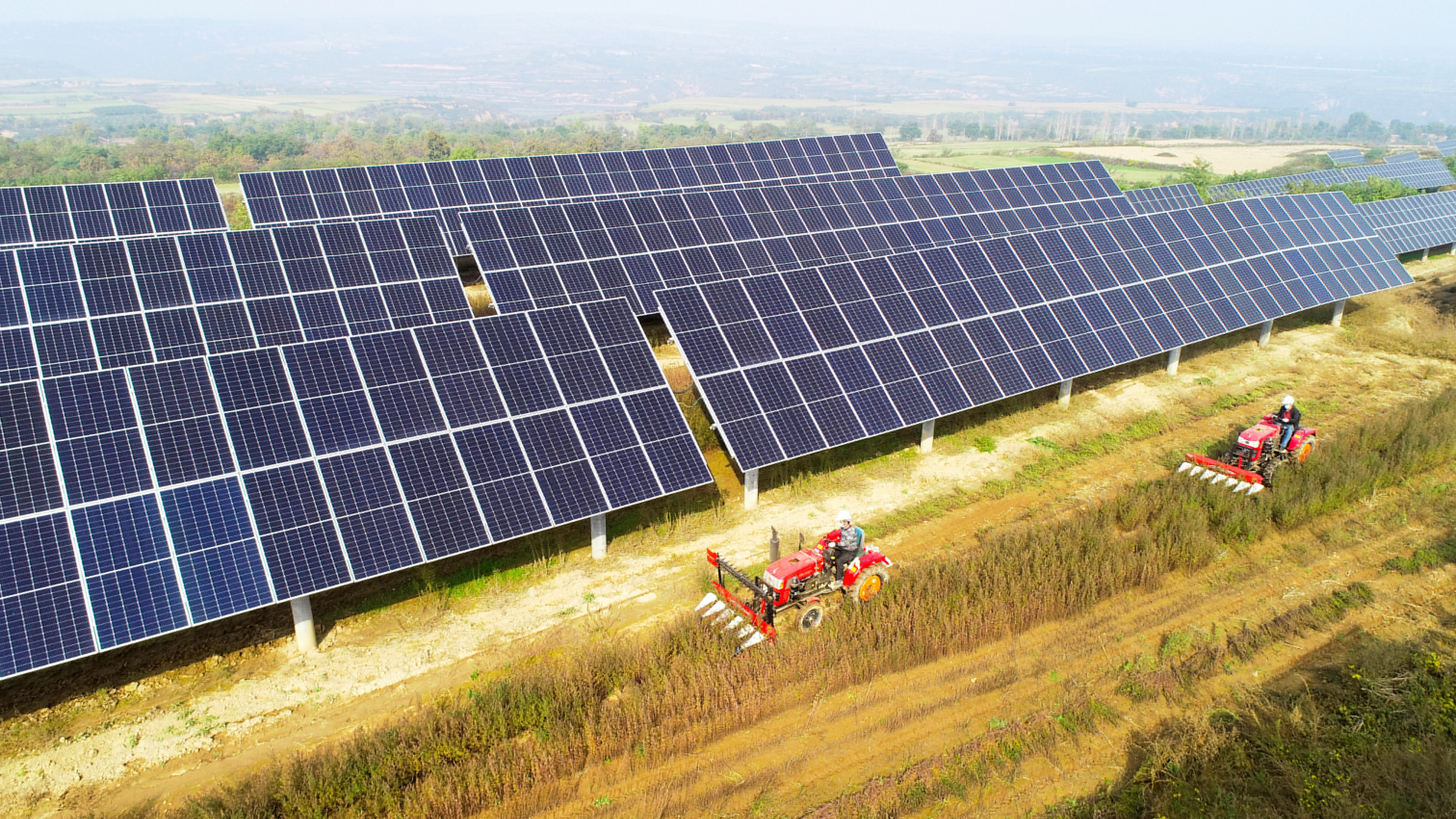 圖3.大唐西安熱電廠永壽高廟山光伏電站進行中草藥收割工作，實現(xiàn)惠農(nóng)共贏.jpg